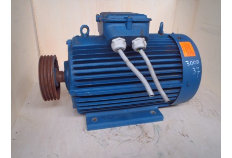 37 KW  3000 RPM As 55 mm  ROTOR  Gebruikt